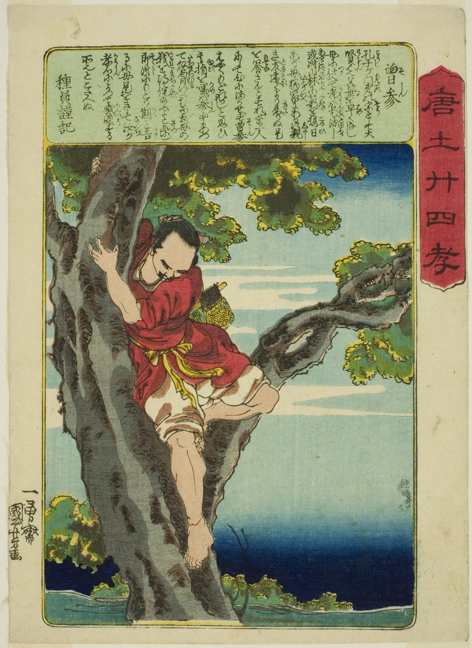 Yoshitsune sitting on a pine tree 【公式通販】