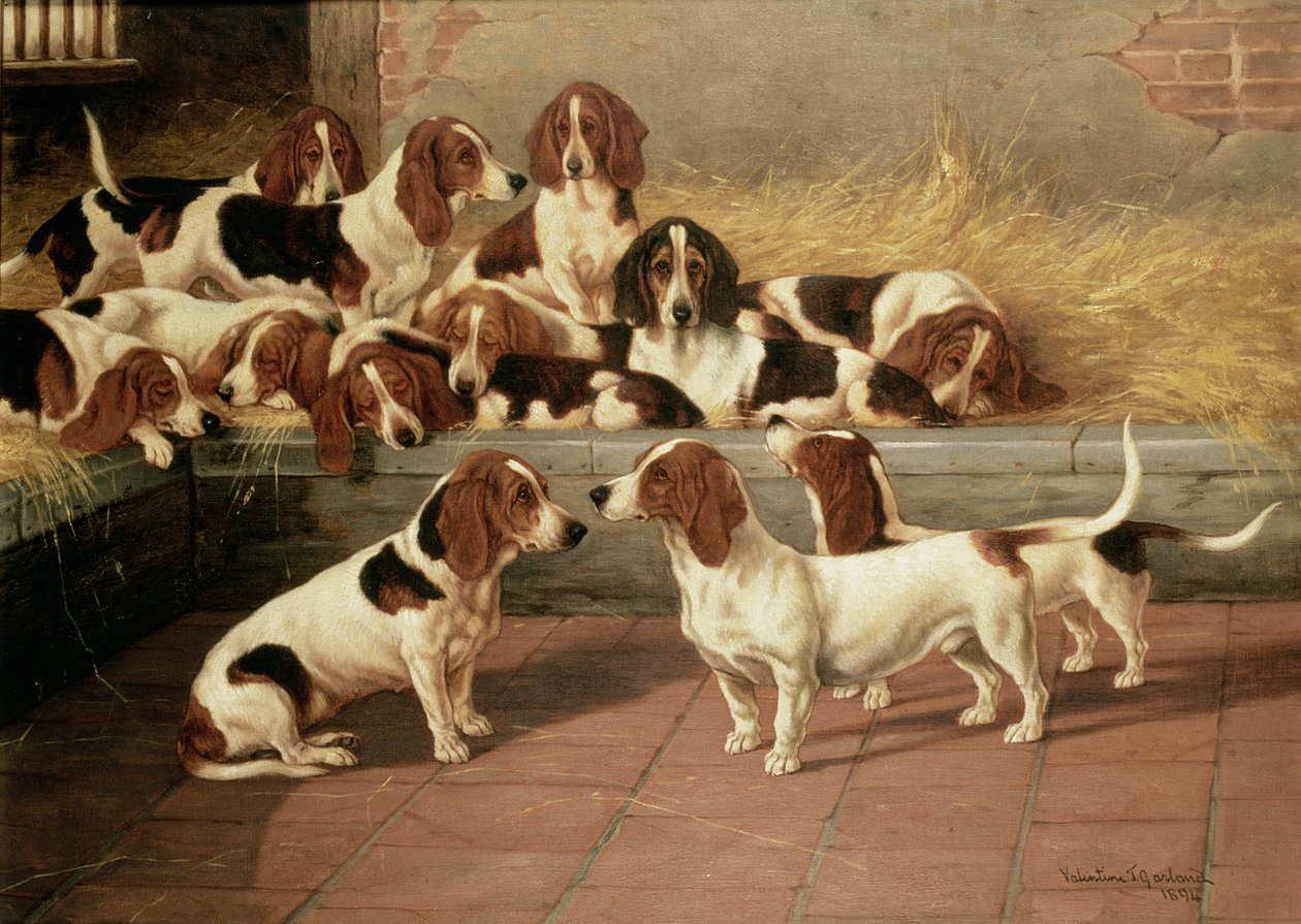 Basset Hounds in a Kennel, 1894 by Valentine Thomas Garland
