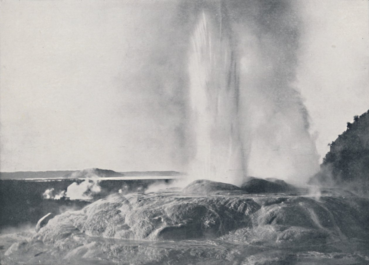 Geyser, New Zealand by Valentine and Sons Ltd