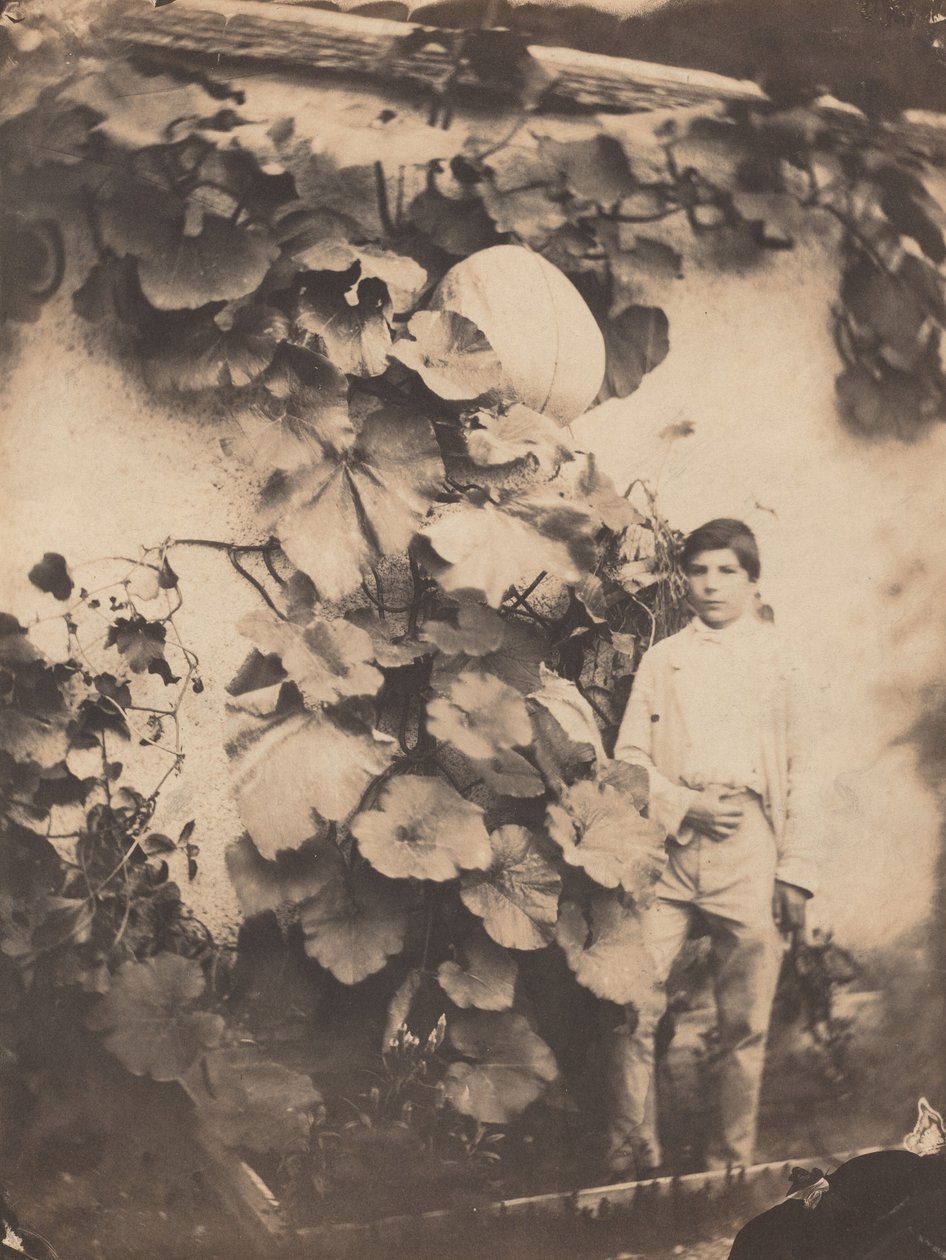 Boy with a Pumpkin Vine by Varin Frères