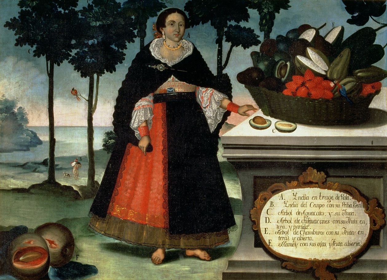 Indian Woman in Full Dress by Vicente Alban