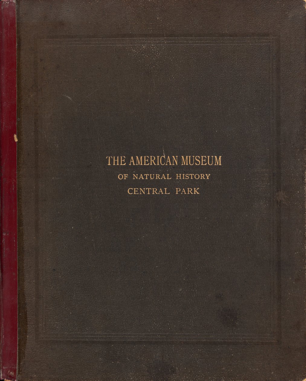The Photographic Album of the American Museum of Natural History, Central Park, New York City by Victor Prevost, Gaston L. Feuardent and Co., New York