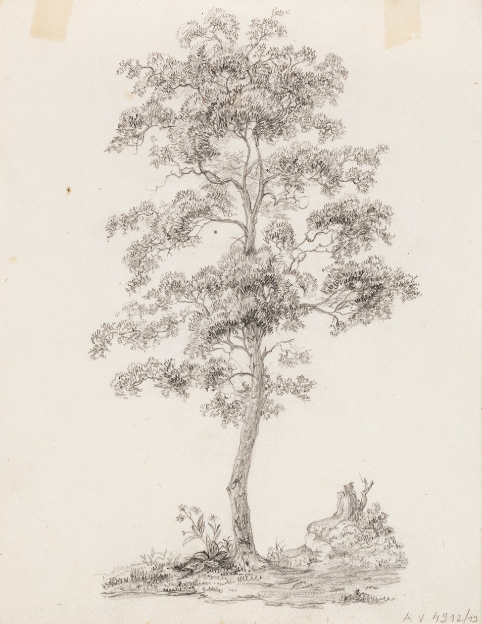 Tree by Victoria Åberg