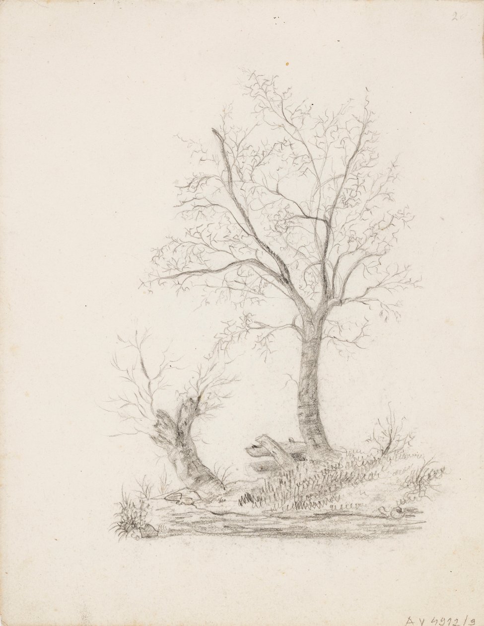 Trees by Victoria Åberg