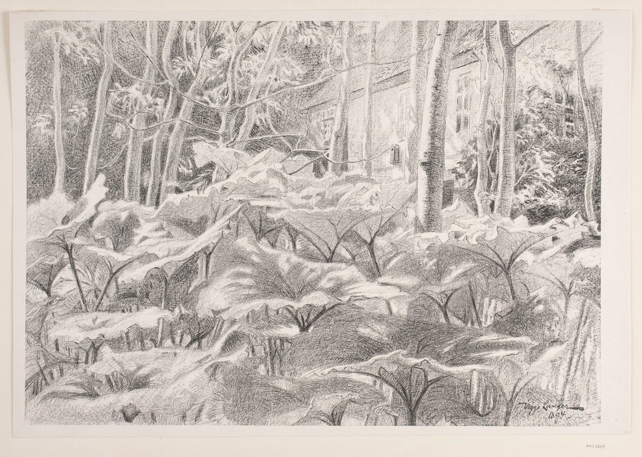 From a Garden by Viggo Langer
