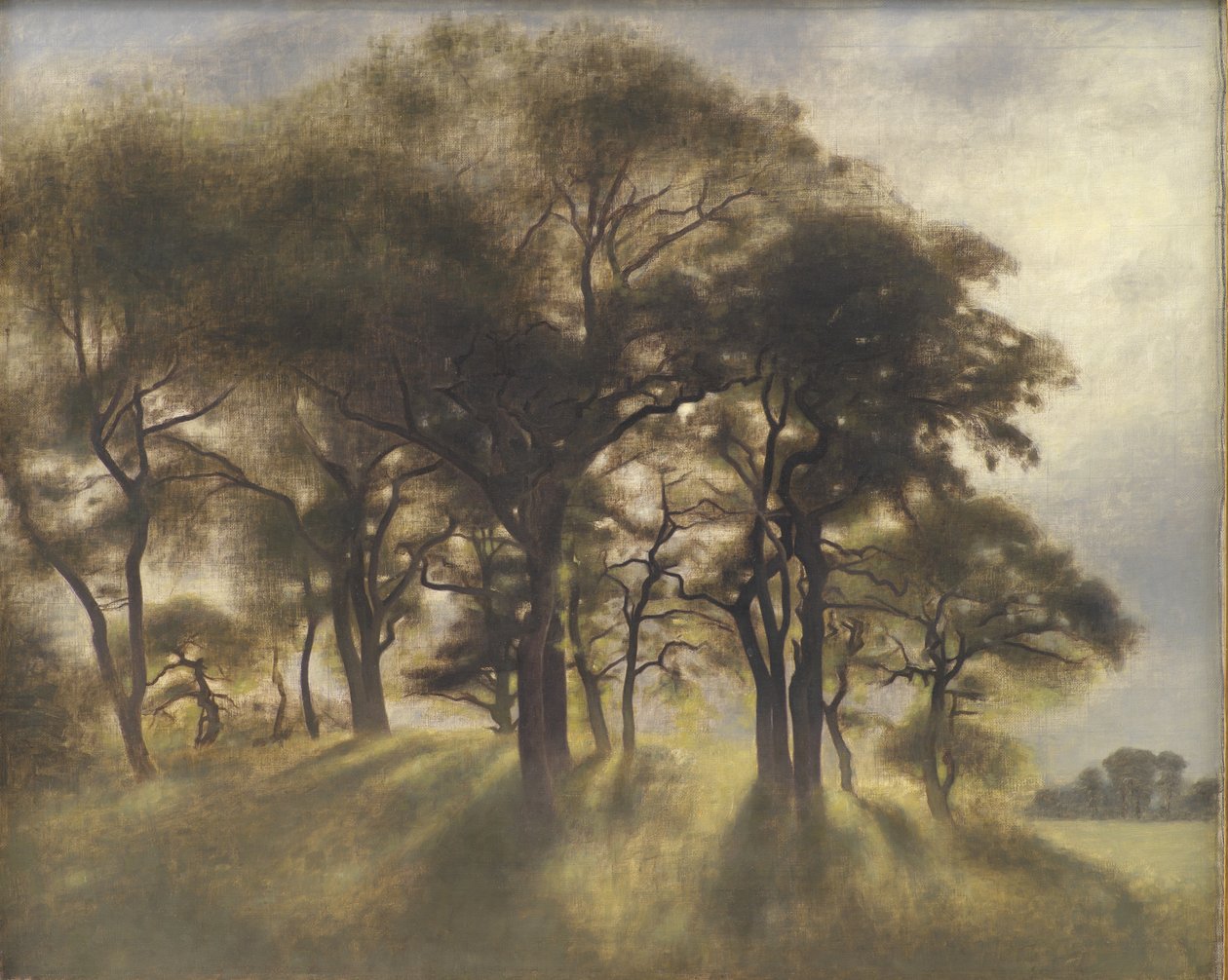 Near Fortunen, Jagersborg Deer Park, North of Copenhagen by Vilhelm Hammershoi