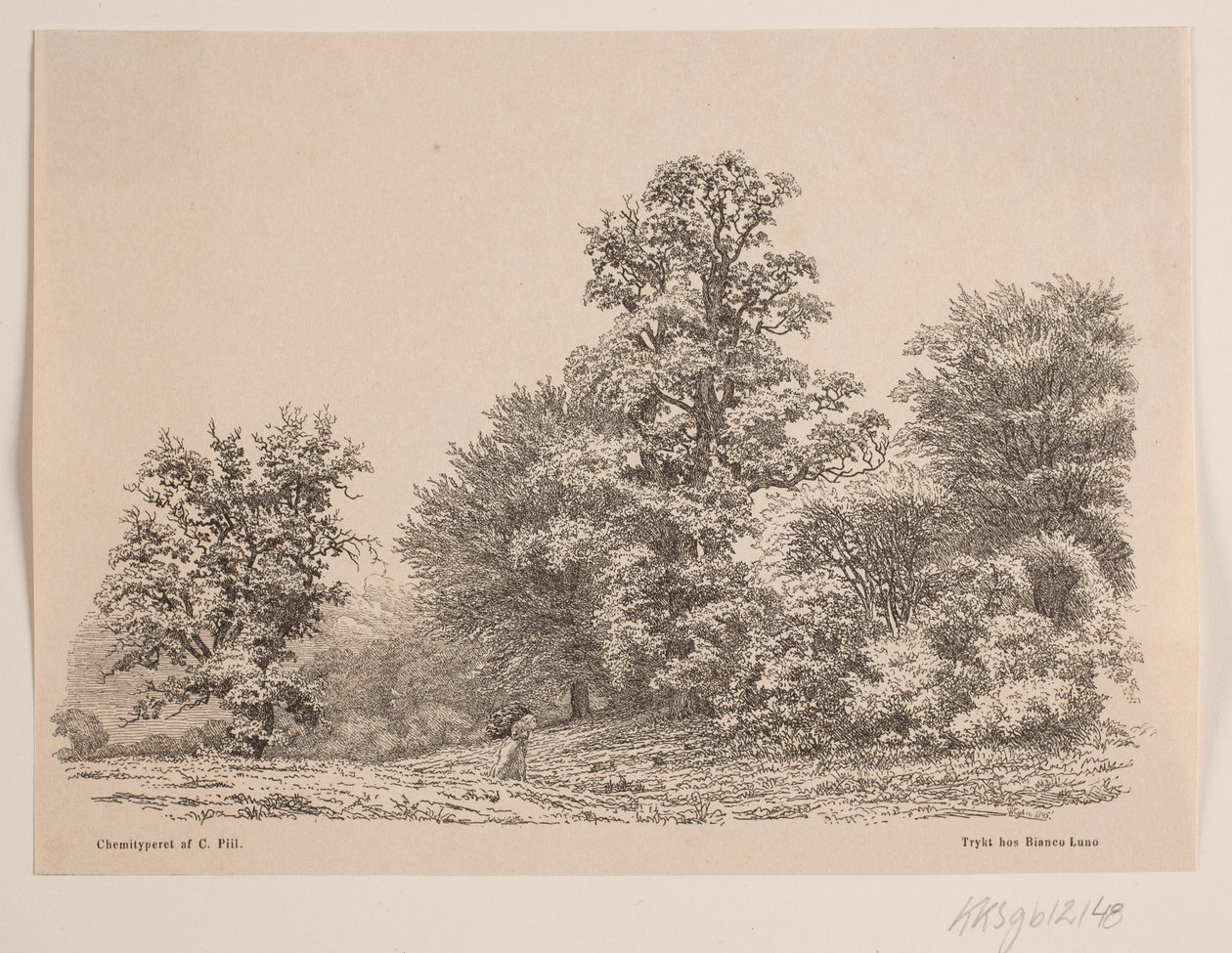 Edge of a Forest by Vilhelm Kyhn