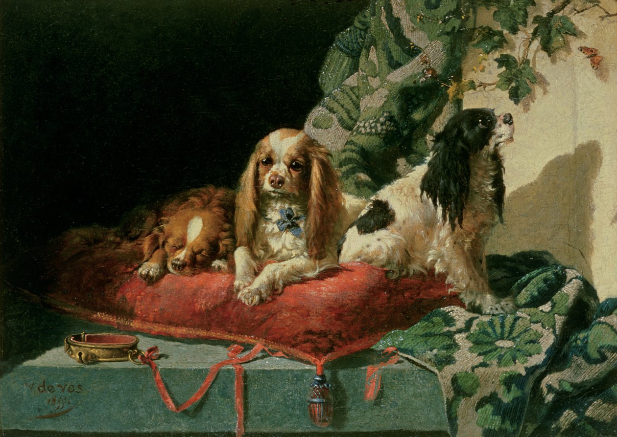 King Charles Spaniels by Vincent de Vos