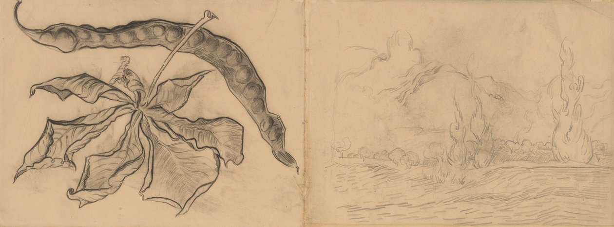 Chestnut Leaf with Pod, Landscape with Cypresses by Vincent van Gogh