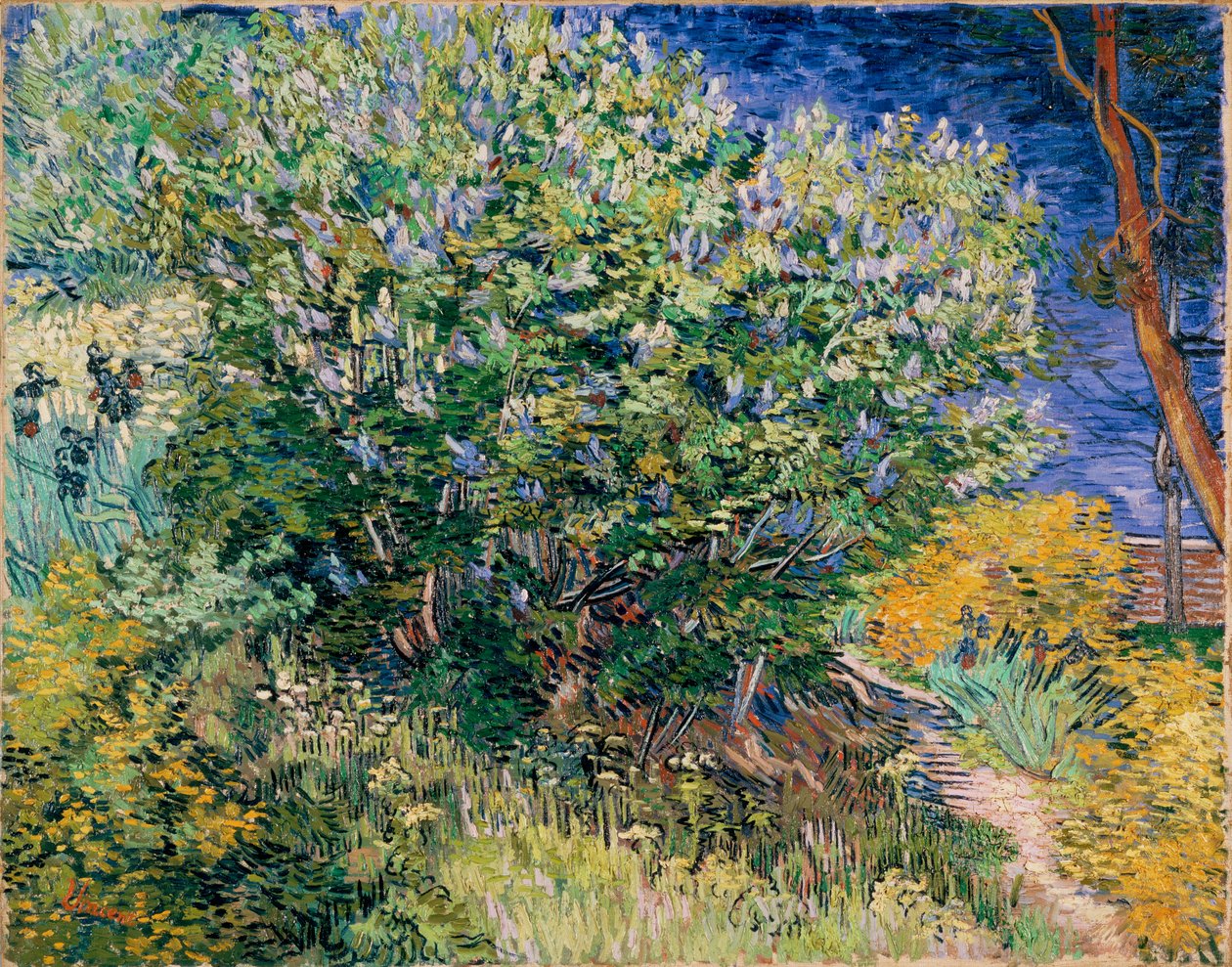 Lilac Bush (Lilacs) by Vincent van Gogh