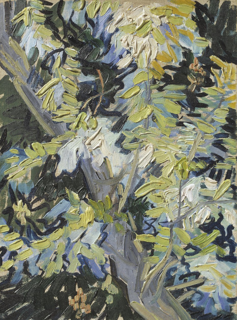 Acacia in Flower, c.1889 by Vincent van Gogh