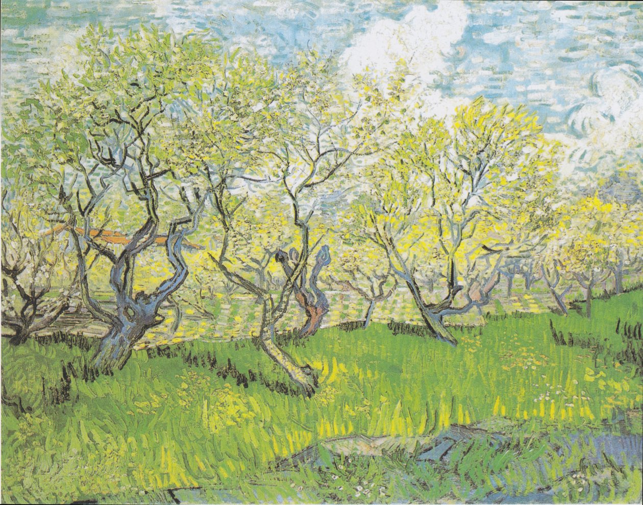 Blooming Orchard by Vincent van Gogh