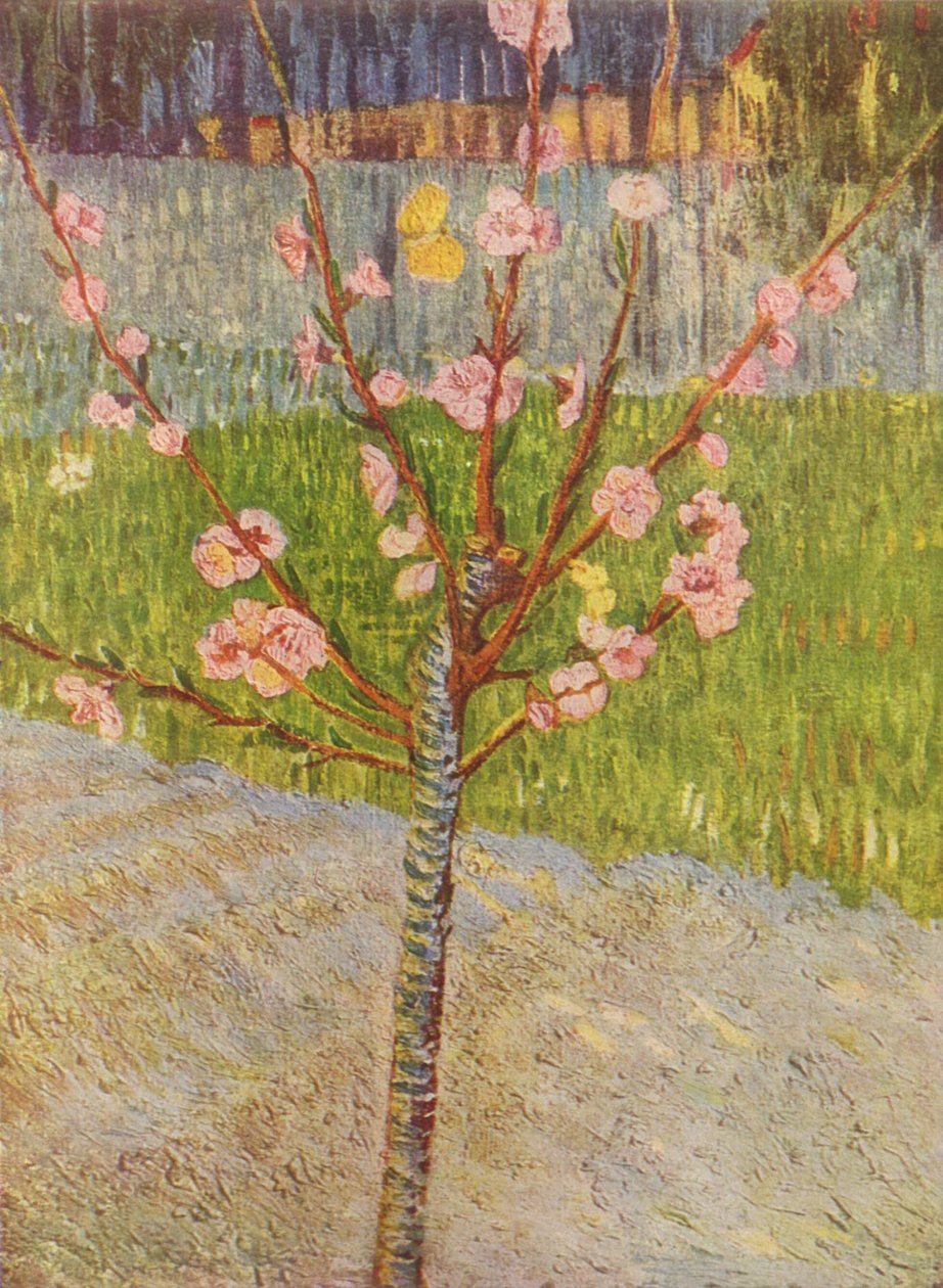 Boulevard de Clichy by Vincent van Gogh