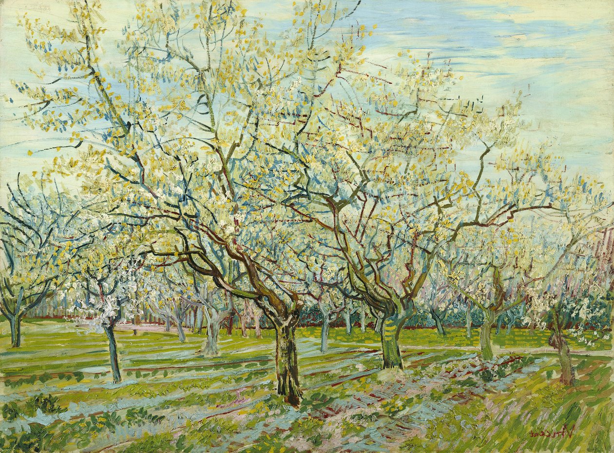 The White Orchard by Vincent van Gogh