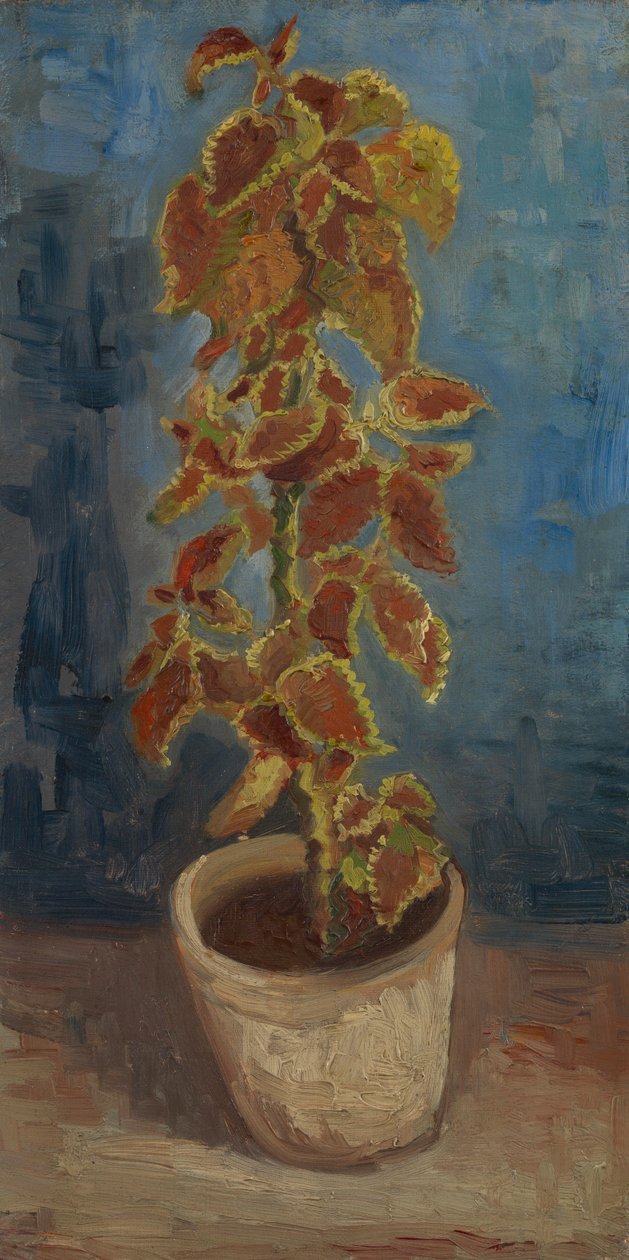 Flame Nettle in a Flowerpot by Vincent van Gogh