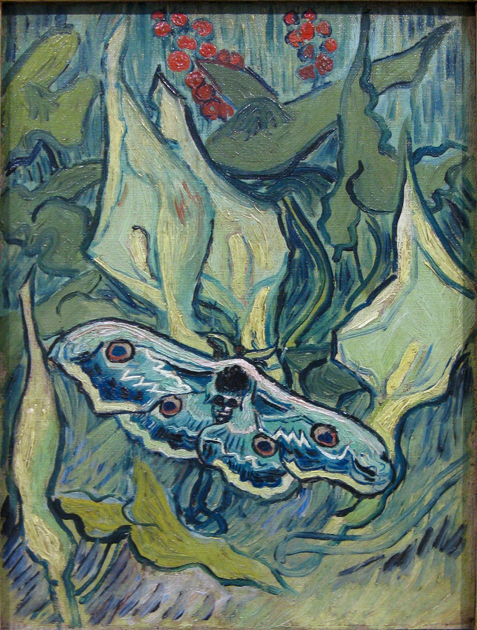 Emperor Moth by Vincent van Gogh