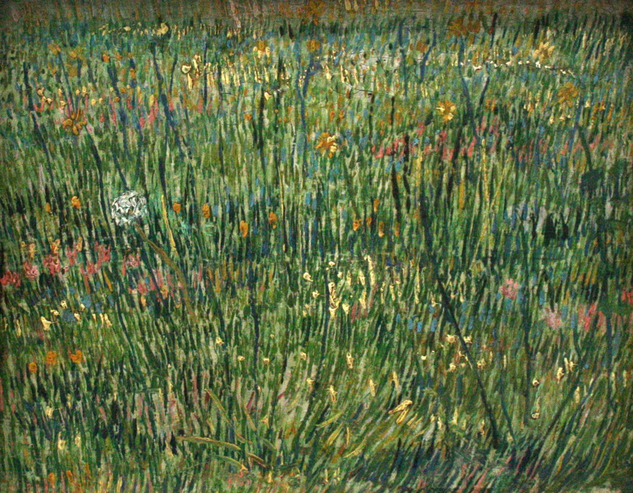 Patch of Grass by Vincent van Gogh