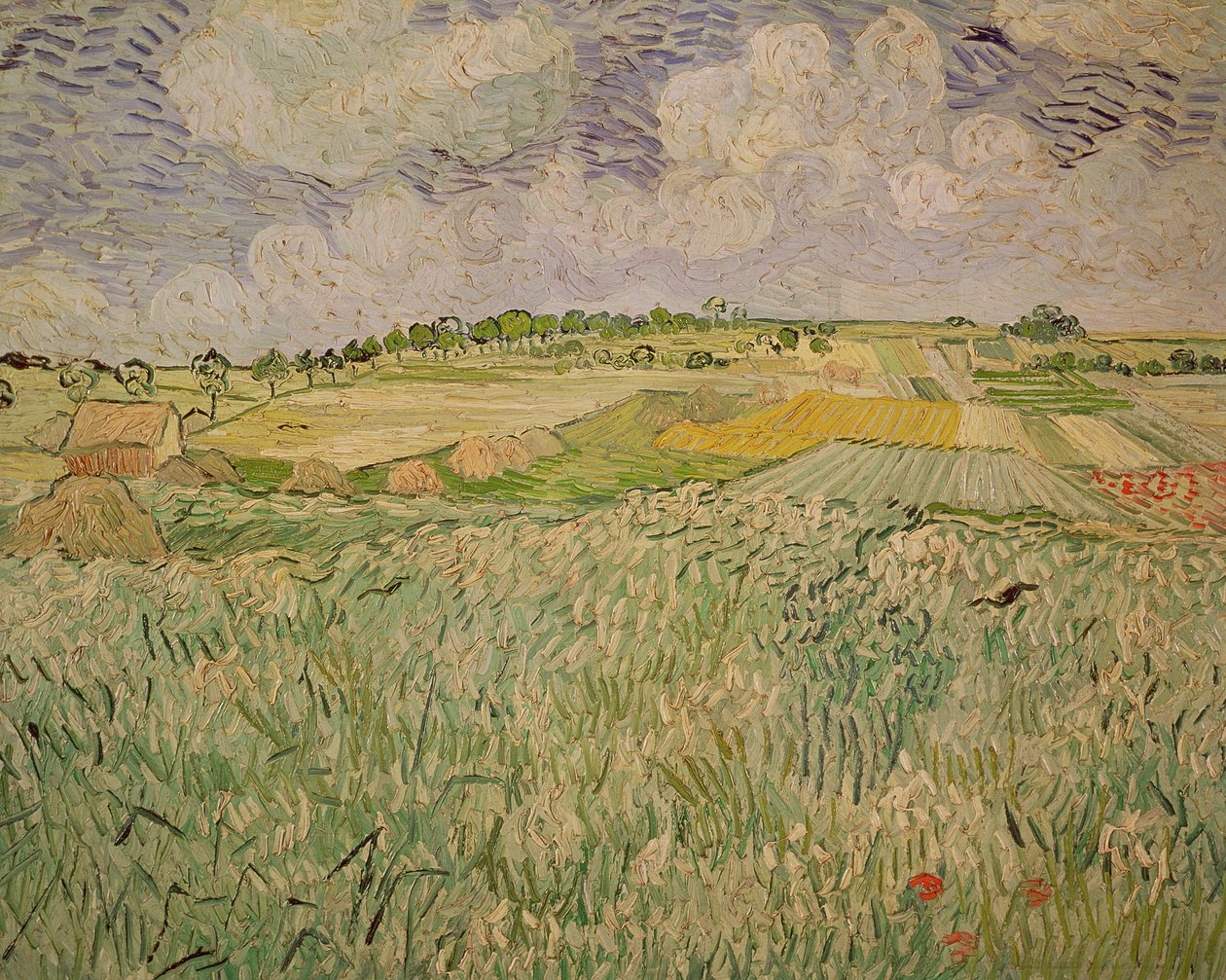 The Plain at Auvers by Vincent van Gogh