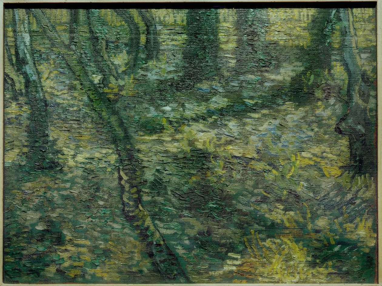 Underbrush with Ivy by Vincent van Gogh