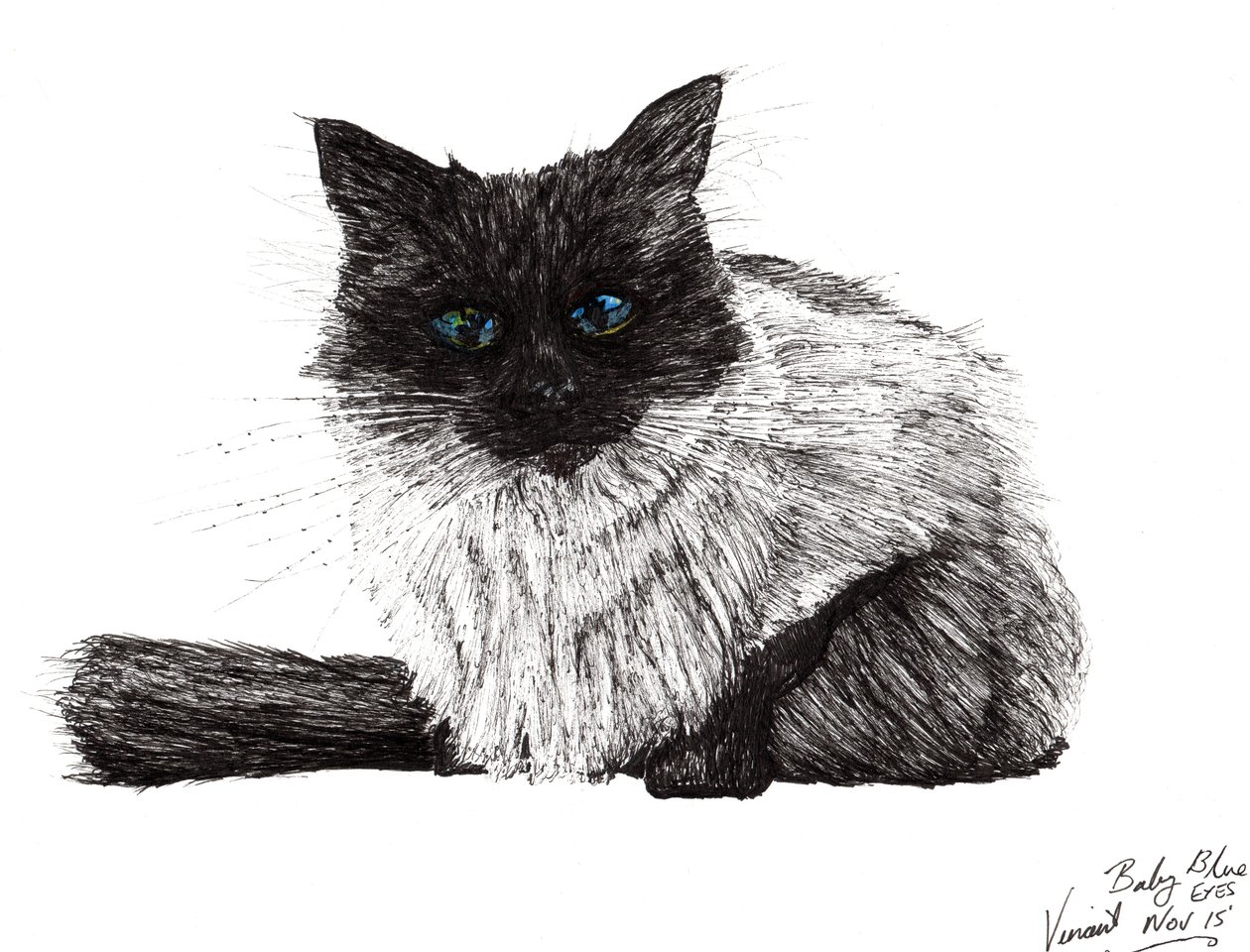 Baby Blue Eyes by Vincent Alexander Booth