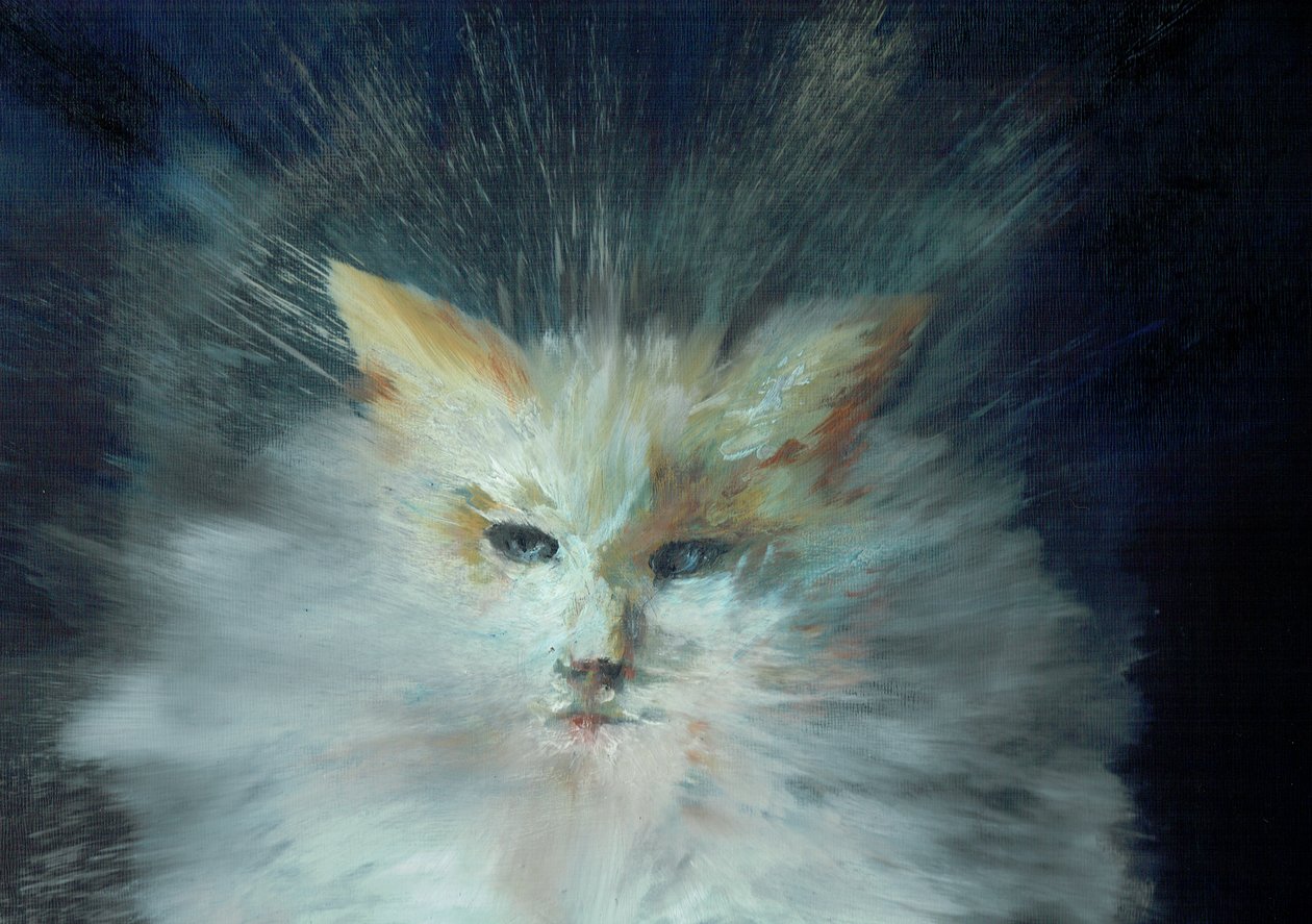 Monty Fluffball by Vincent Alexander Booth