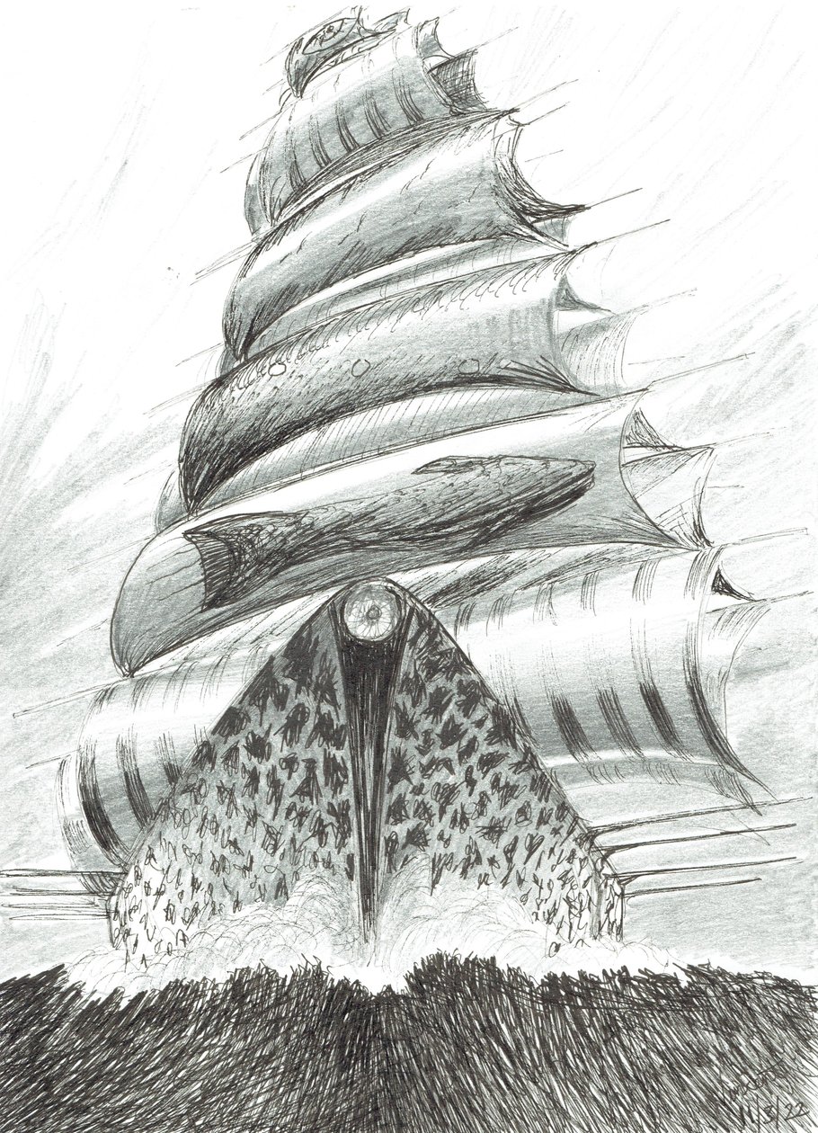 Storm Creators Tosa Wan, 2022 by Vincent Alexander Booth