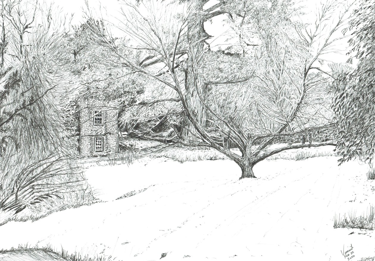 The Handkerchief Tree at Monk Coniston Gardens, 2024 by Vincent Alexander Booth