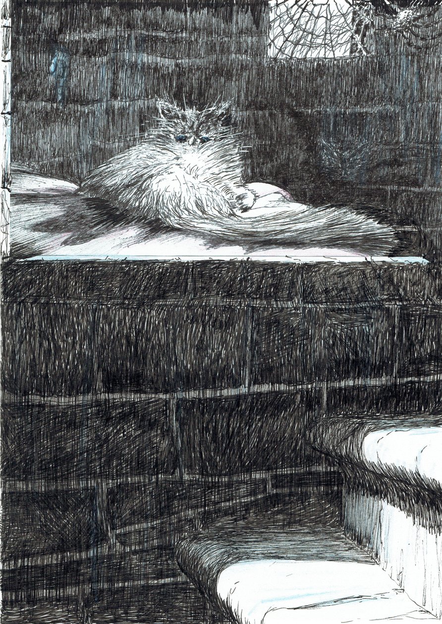 The Castle in the Forest of Findhorn, page 21 by Vincent Alexander Booth