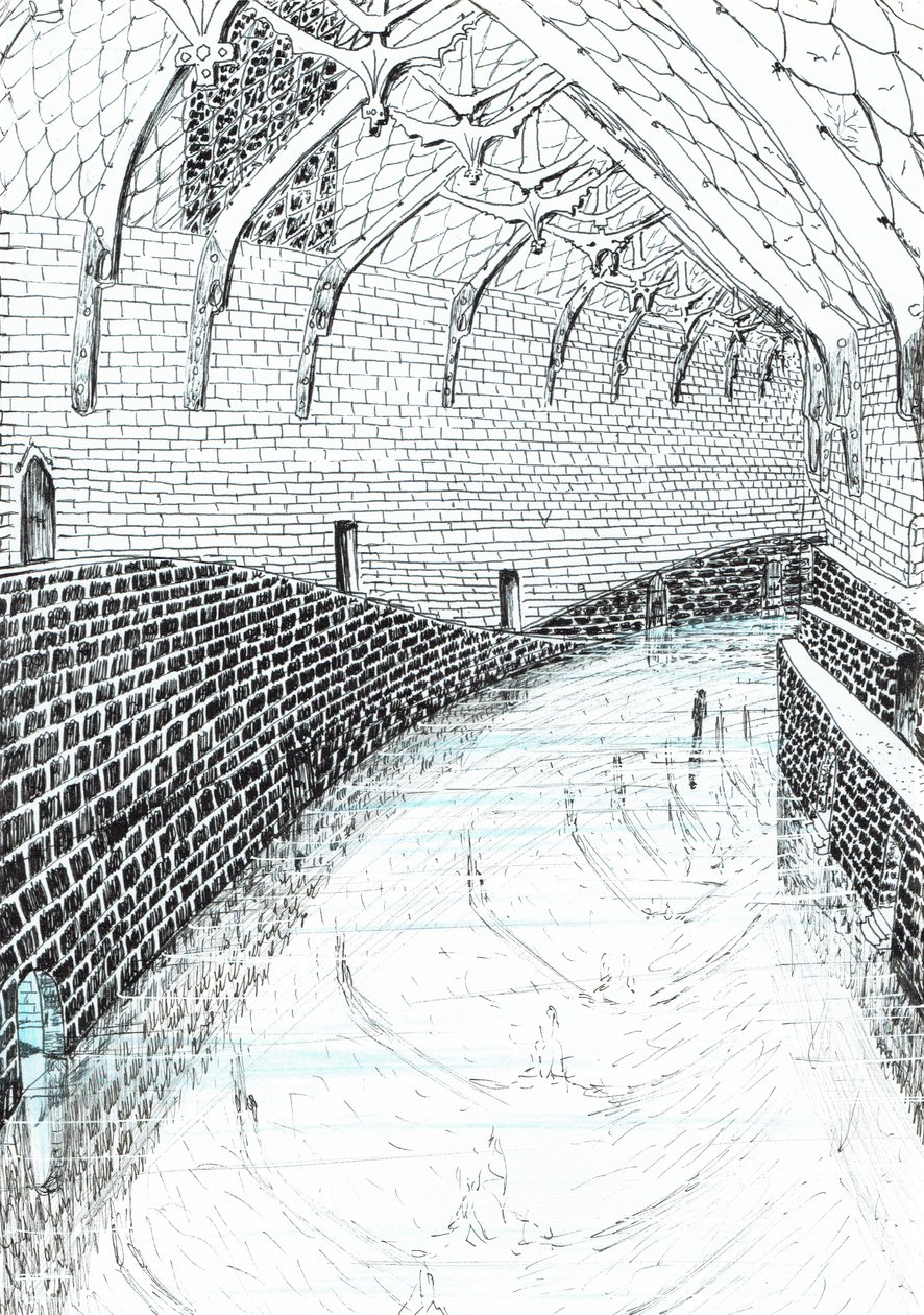 page41, The Castle in the Forest of Findhorn, 2006 by Vincent Alexander Booth