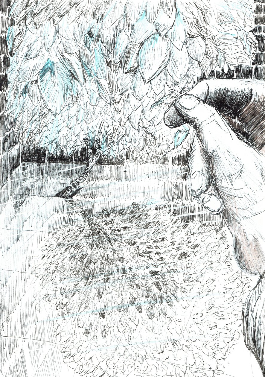 page43, The Castle in the Forest of Findhorn, 2006 by Vincent Alexander Booth