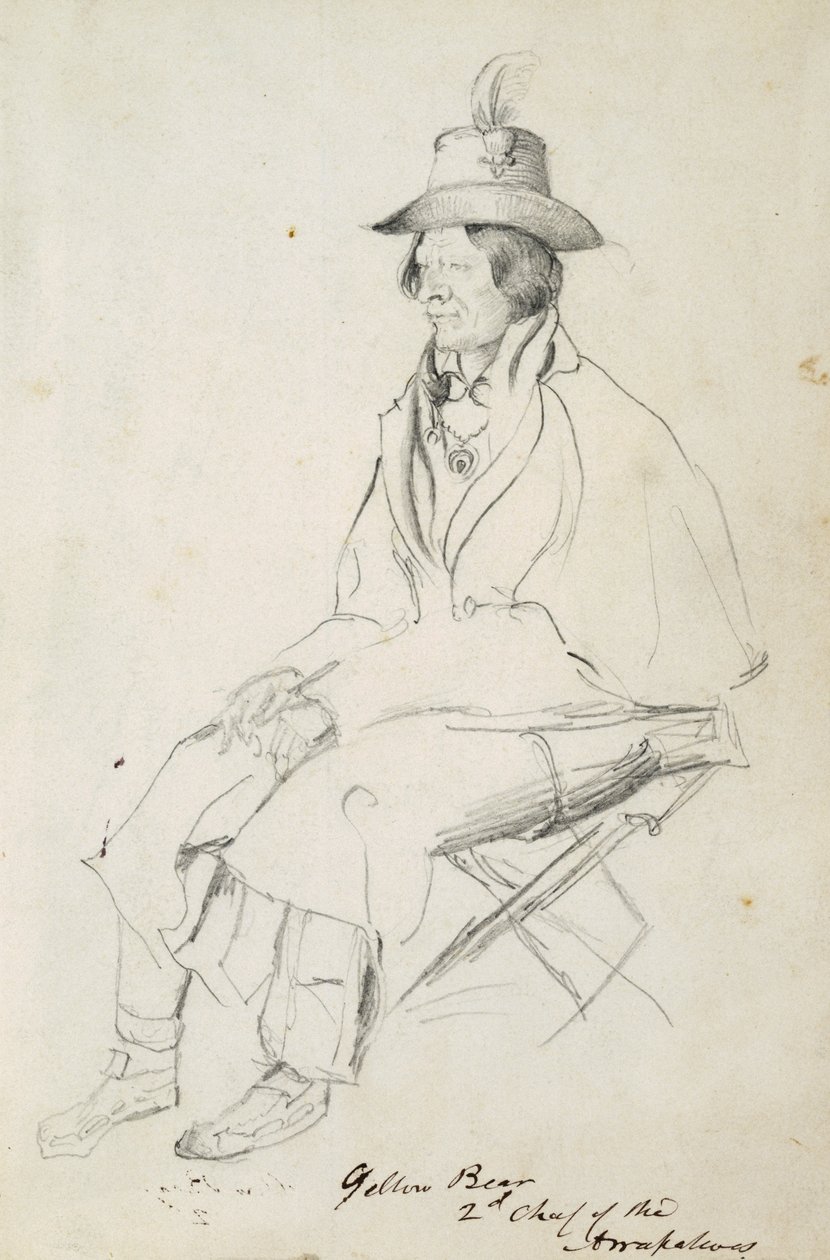 Yellow Bear, second chief of Arrapahoes by Vincent Colyer