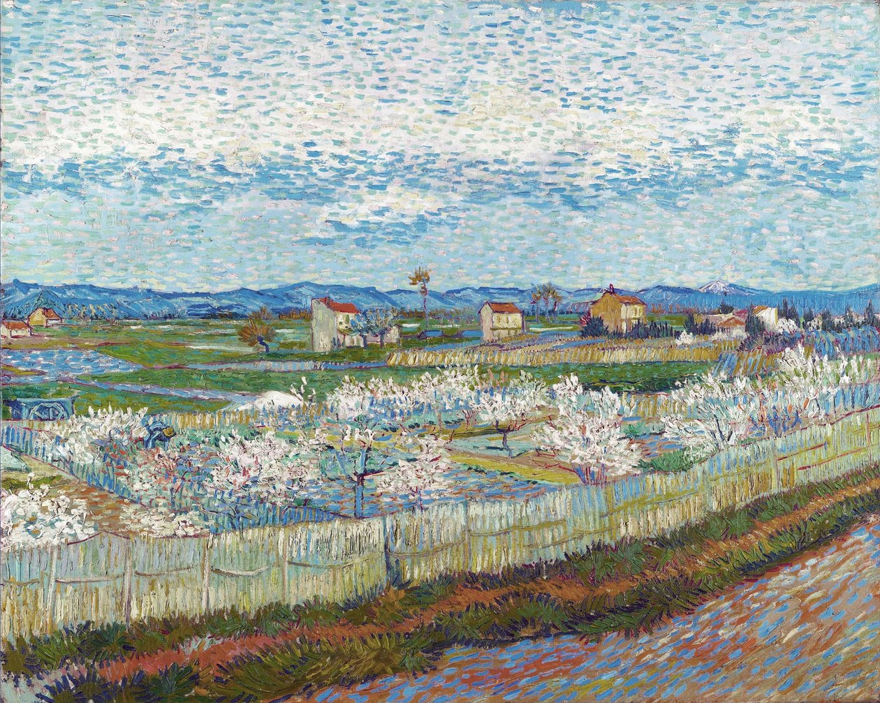 Peach Trees in Blossom, 1889 by Vincent van Gogh
