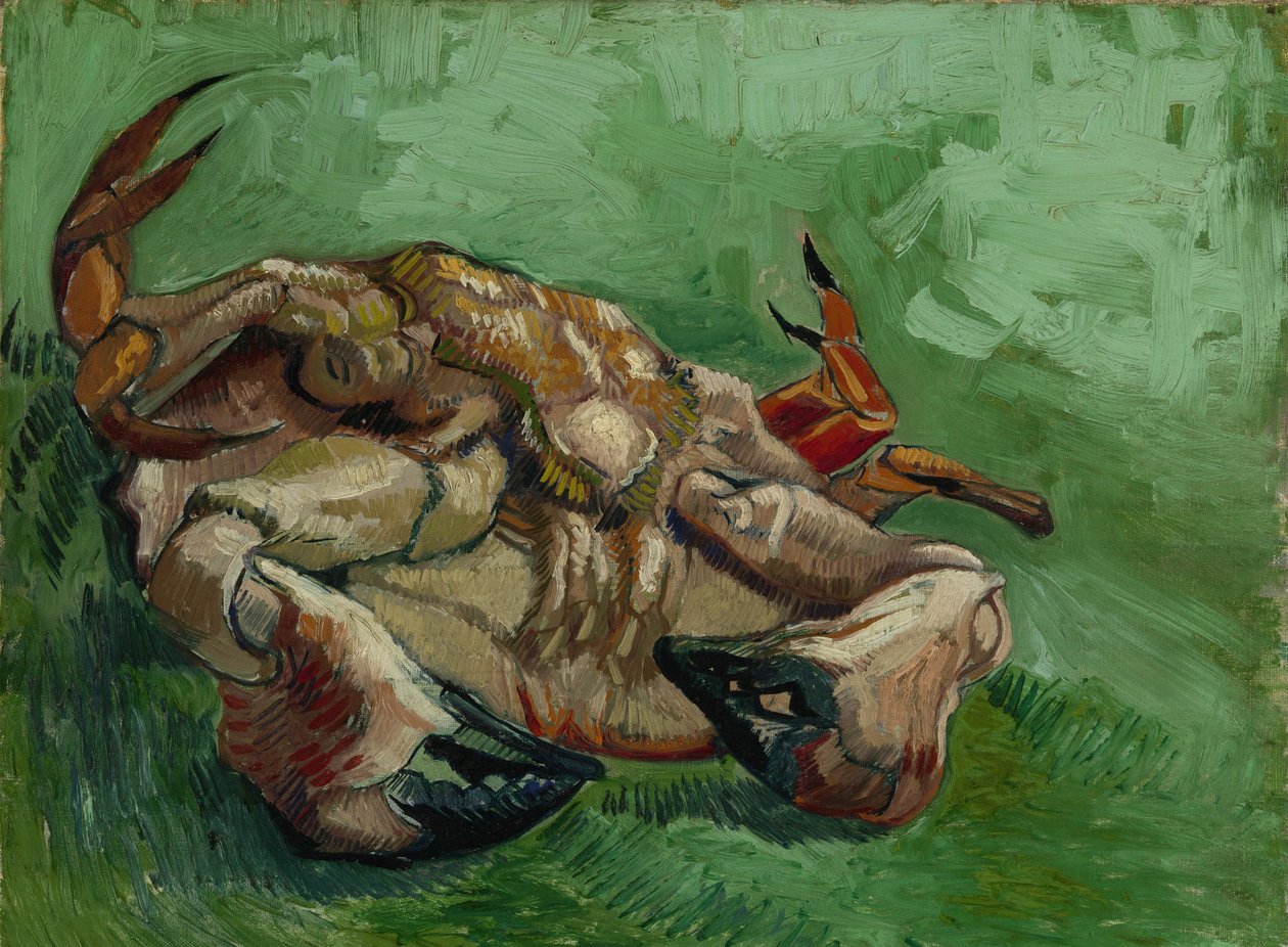 A Crab, Lying on His Back by Vincent van Gogh