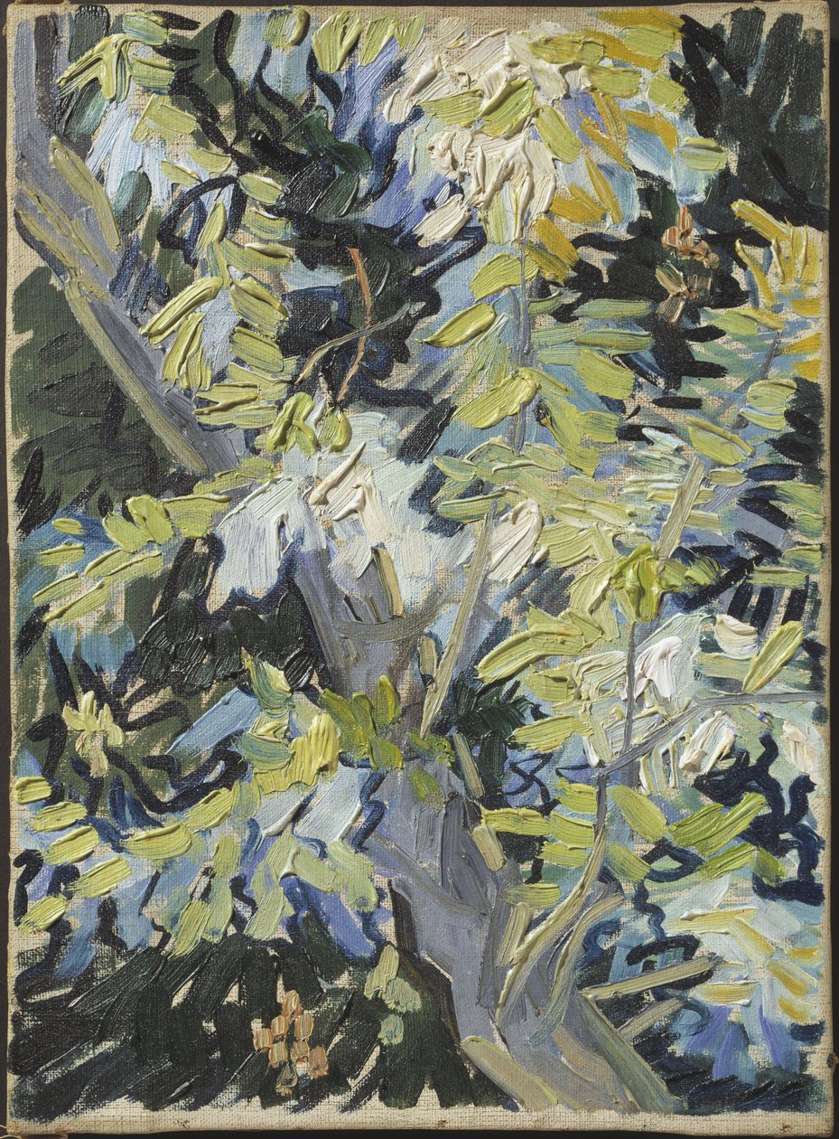 Acacia Flowering by Vincent van Gogh