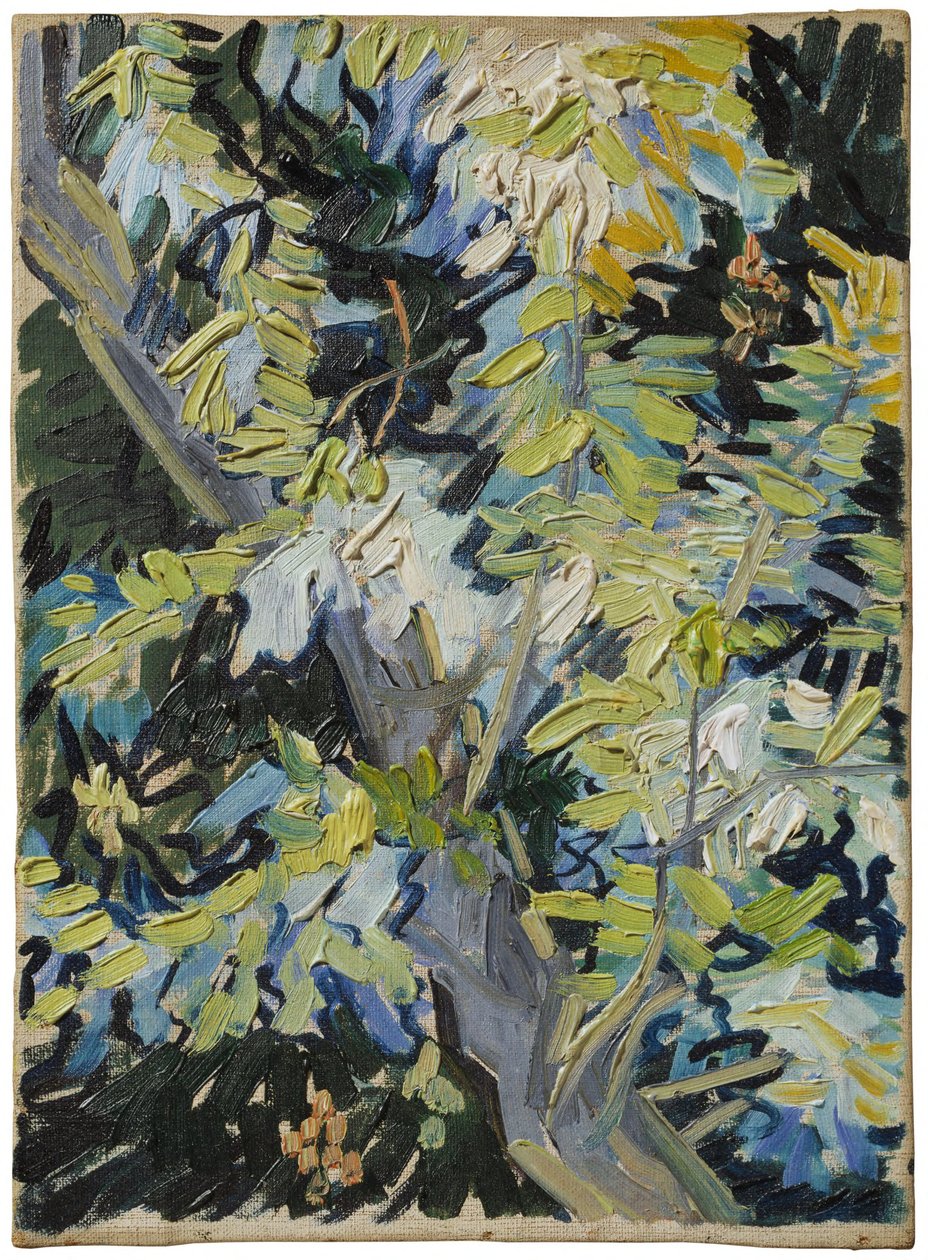 Acacia in Flowers by Vincent van Gogh