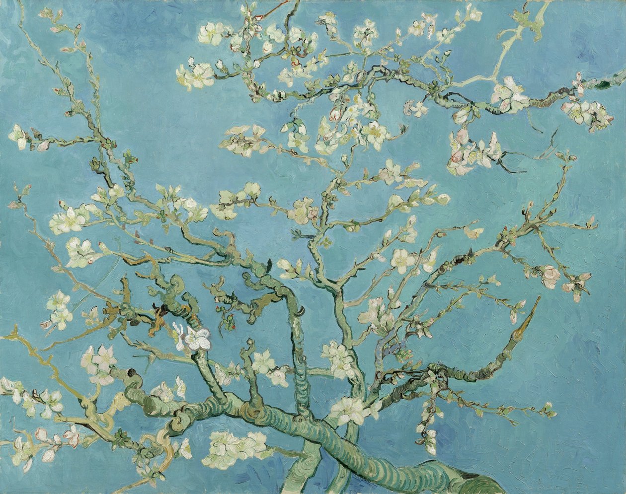 Bloesems van gogh deals
