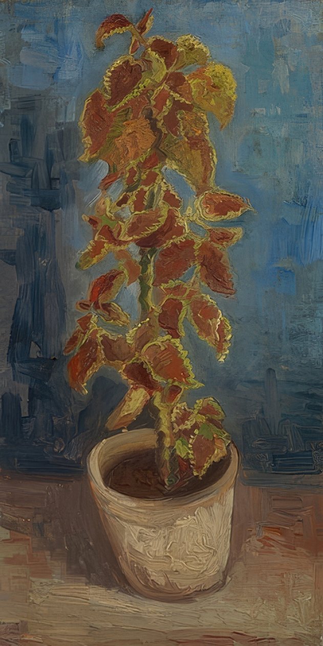 Flowerpot with Coleus by Vincent van Gogh