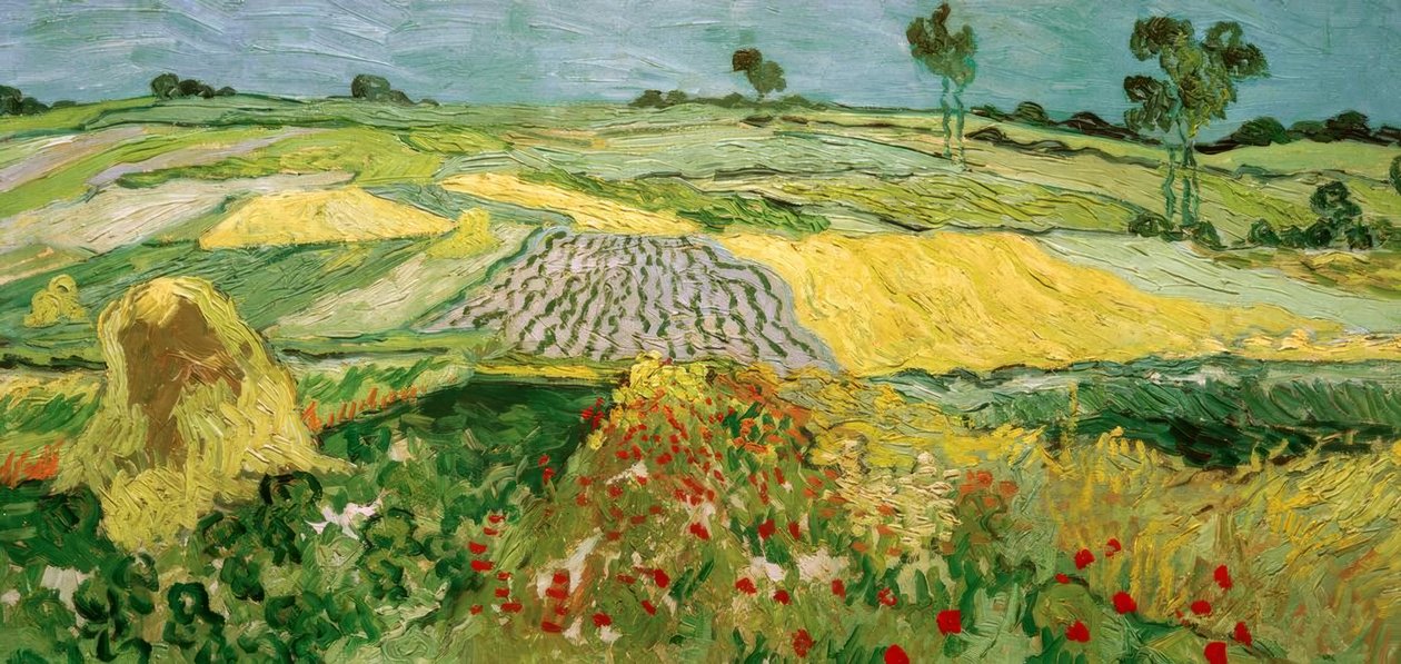 The Plain of Auvers by Vincent van Gogh