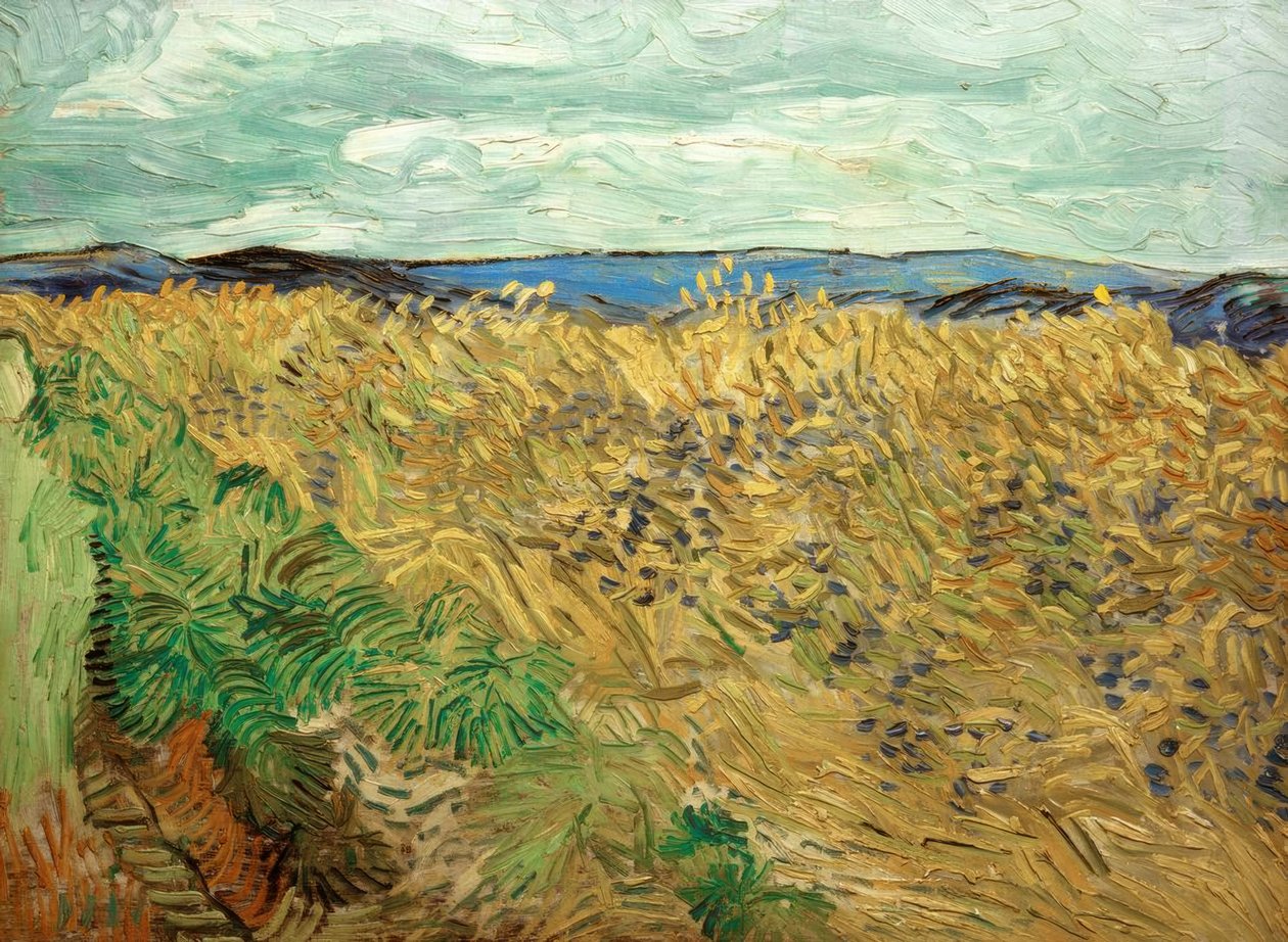 Field with Cornflowers by Vincent van Gogh