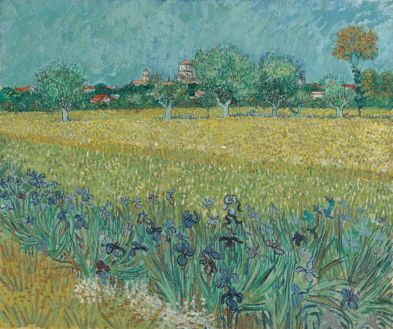 Field with Flowers near Arles by Vincent van Gogh