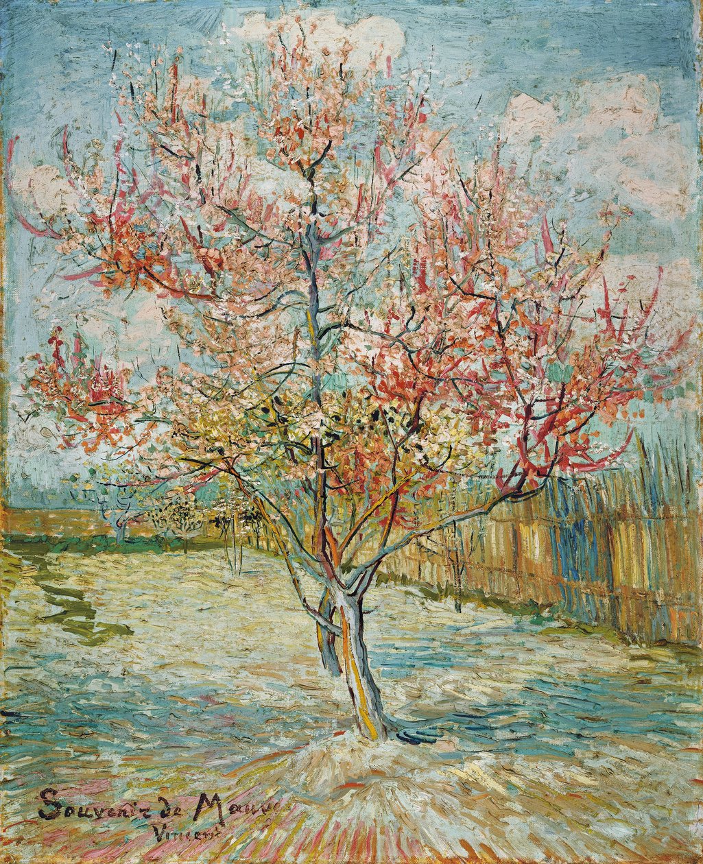 Flowering peach tree by Vincent van Gogh
