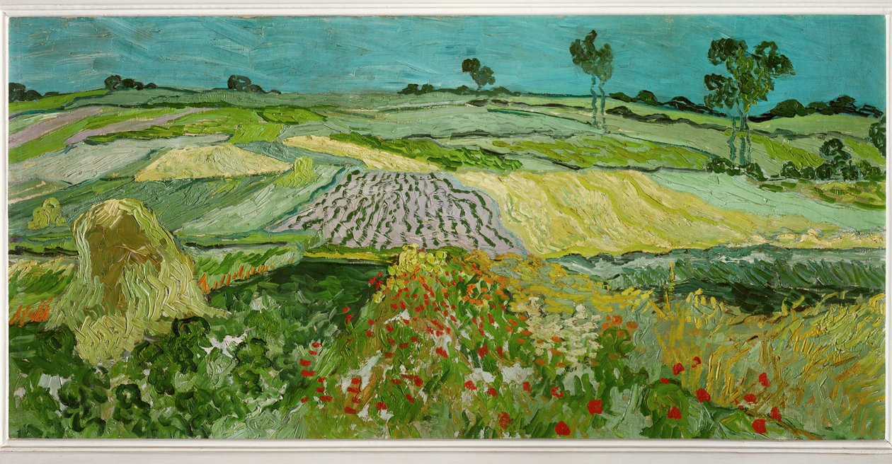 The Plain of Auvers by Vincent van Gogh