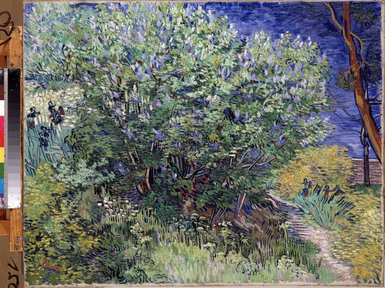 Lilac Bush by Vincent van Gogh