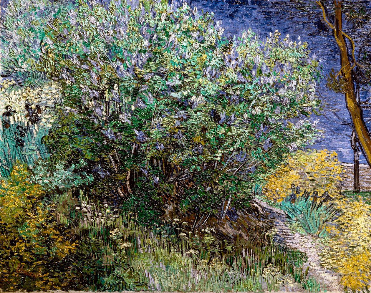 The Lilac Bush by Vincent van Gogh