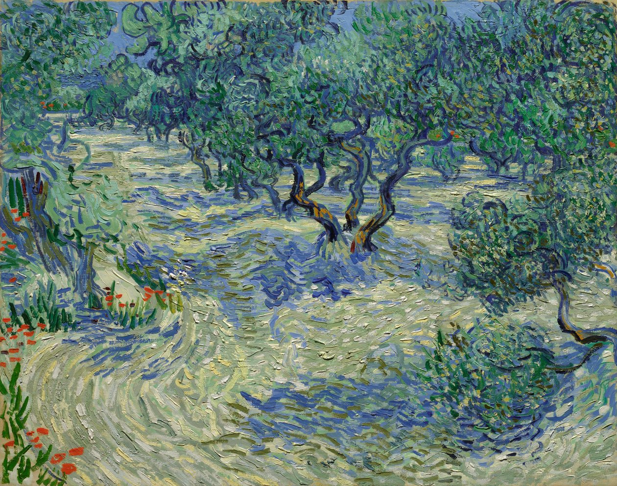 Olive Trees by Vincent van Gogh