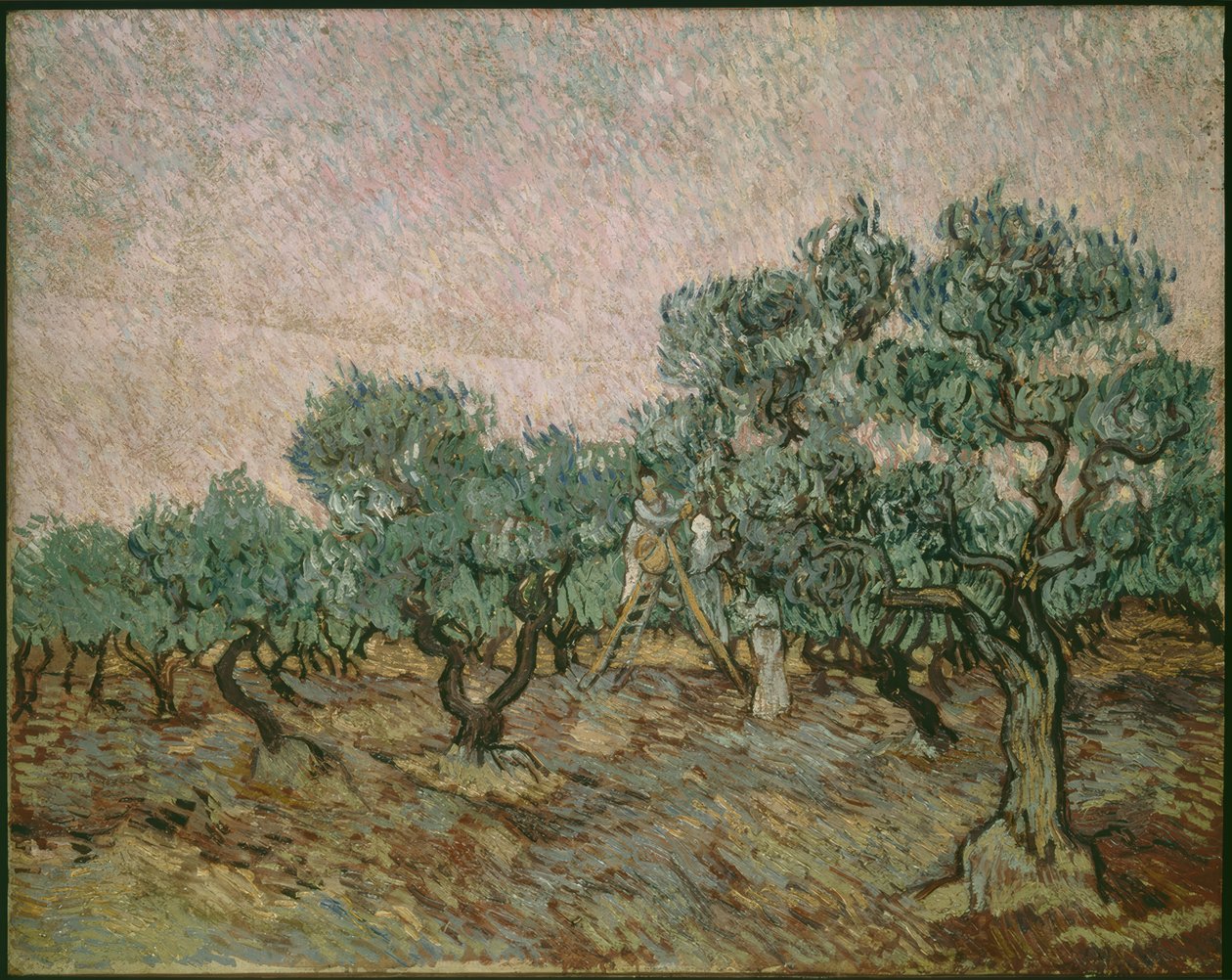 Olive Pickers by Vincent van Gogh