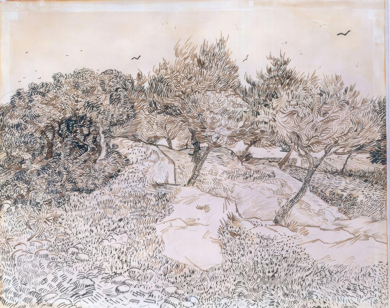 Olive Trees at Montmajour by Vincent van Gogh
