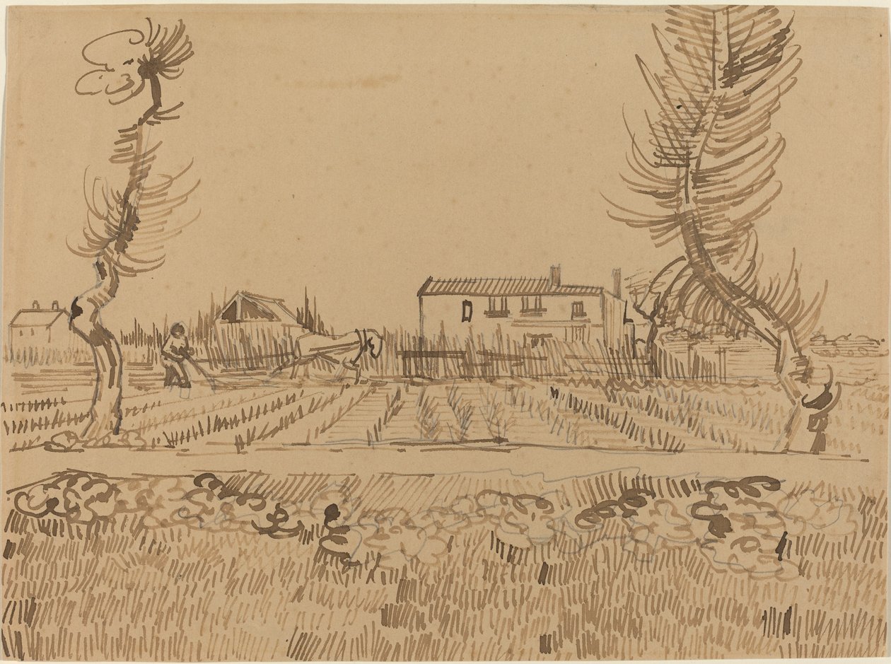 Ploughman in the Fields near Arles by Vincent van Gogh