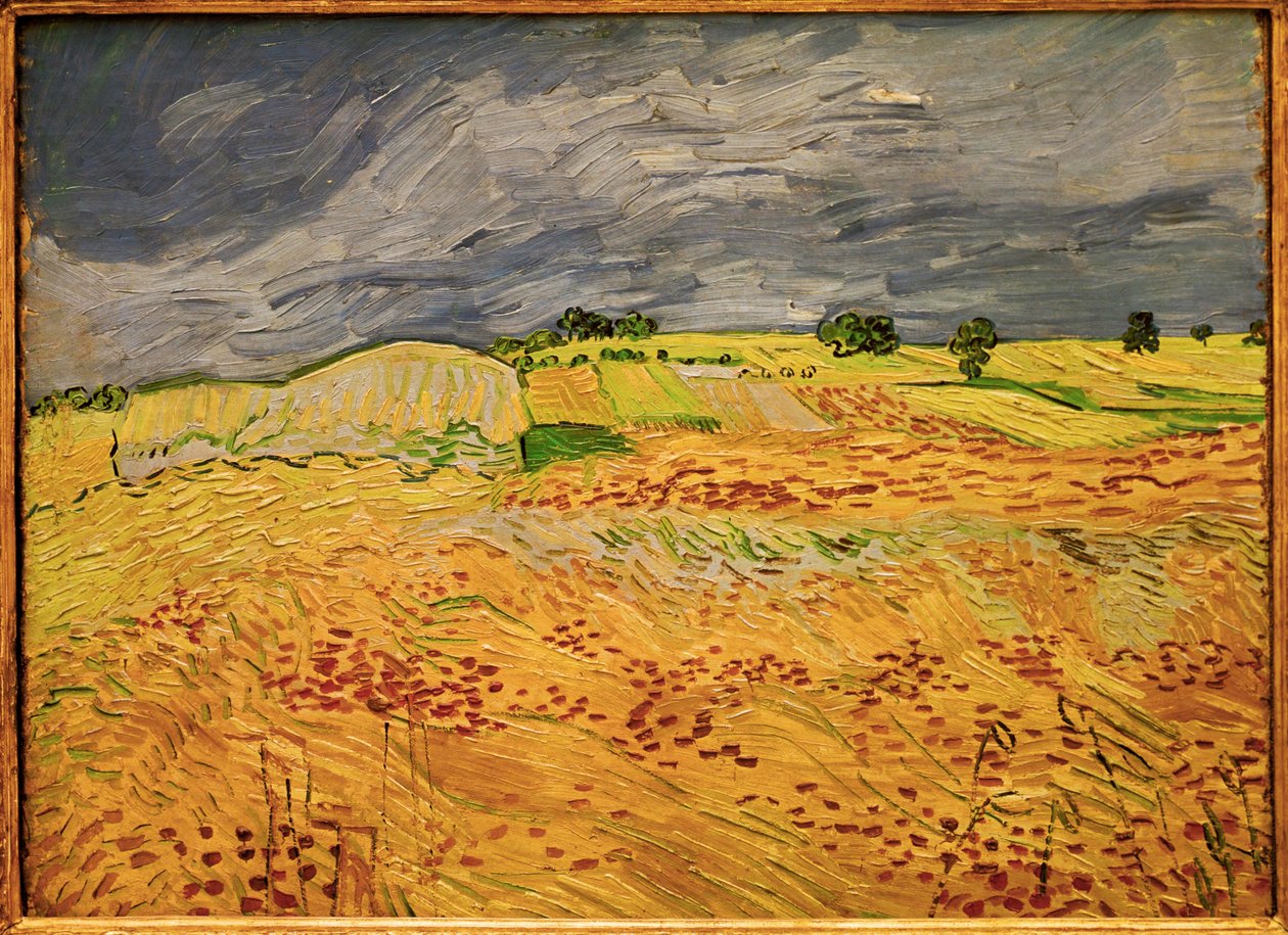 The Plain at Auvers by Vincent van Gogh