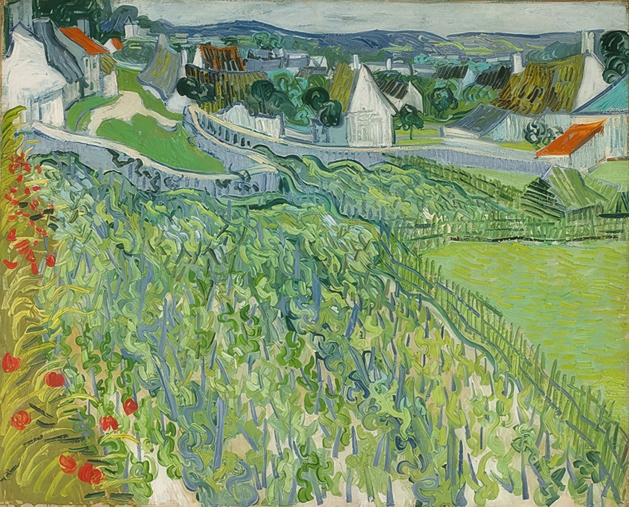 Vineyards in Auvers by Vincent van Gogh